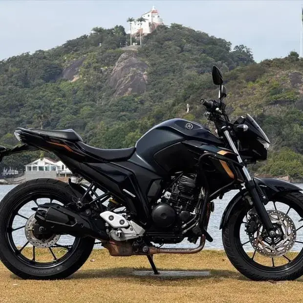 Yamaha FAZER FZ25 ABS