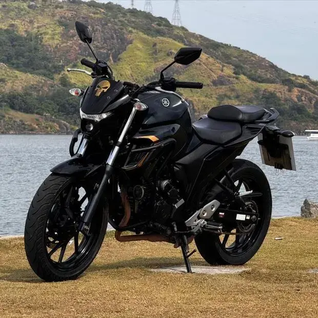 Yamaha FAZER FZ25 ABS