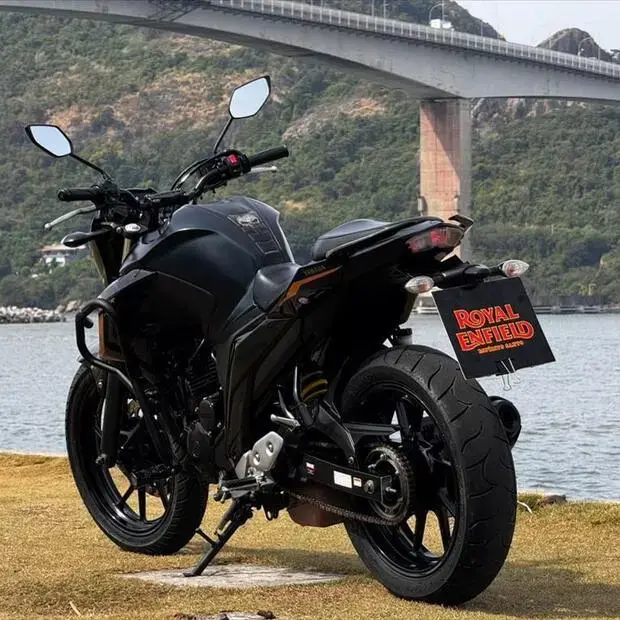 Yamaha FAZER FZ25 ABS