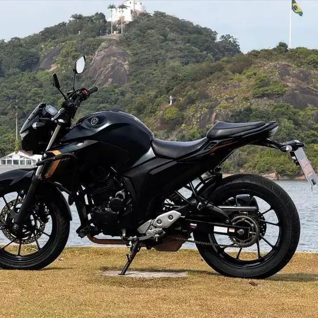 Yamaha FAZER FZ25 ABS