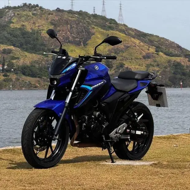Yamaha FAZER FZ25 ABS