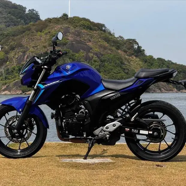Yamaha FAZER FZ25 ABS