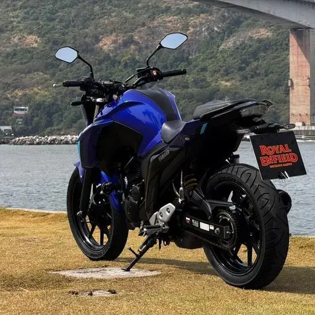 Yamaha FAZER FZ25 ABS