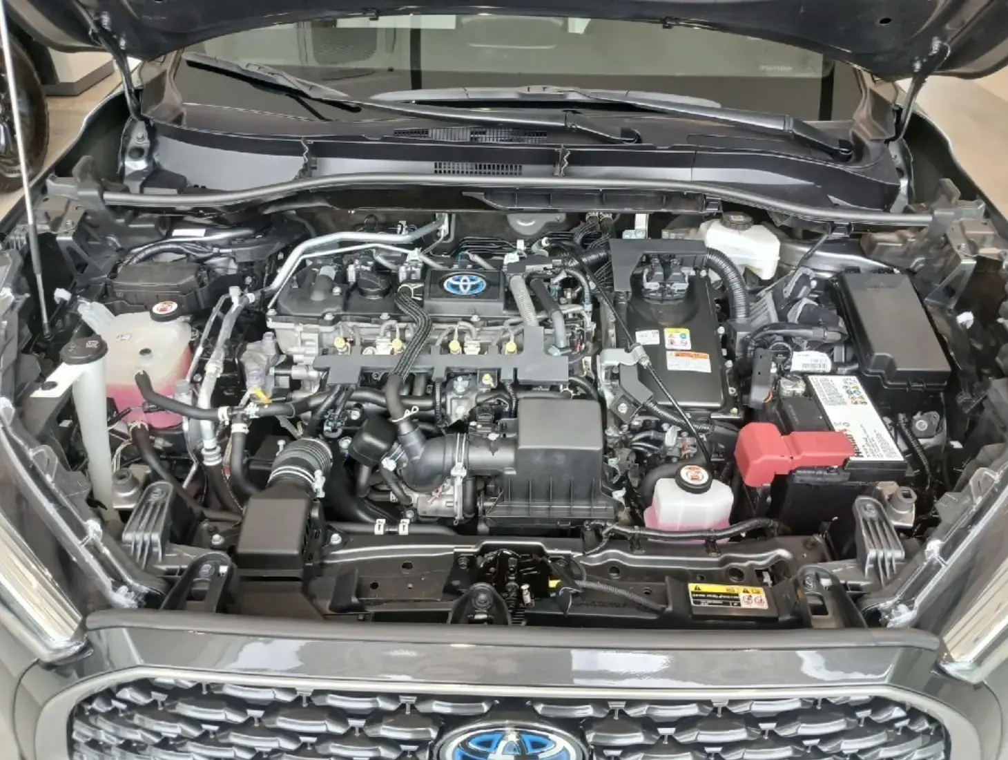 galeria Corolla Cross