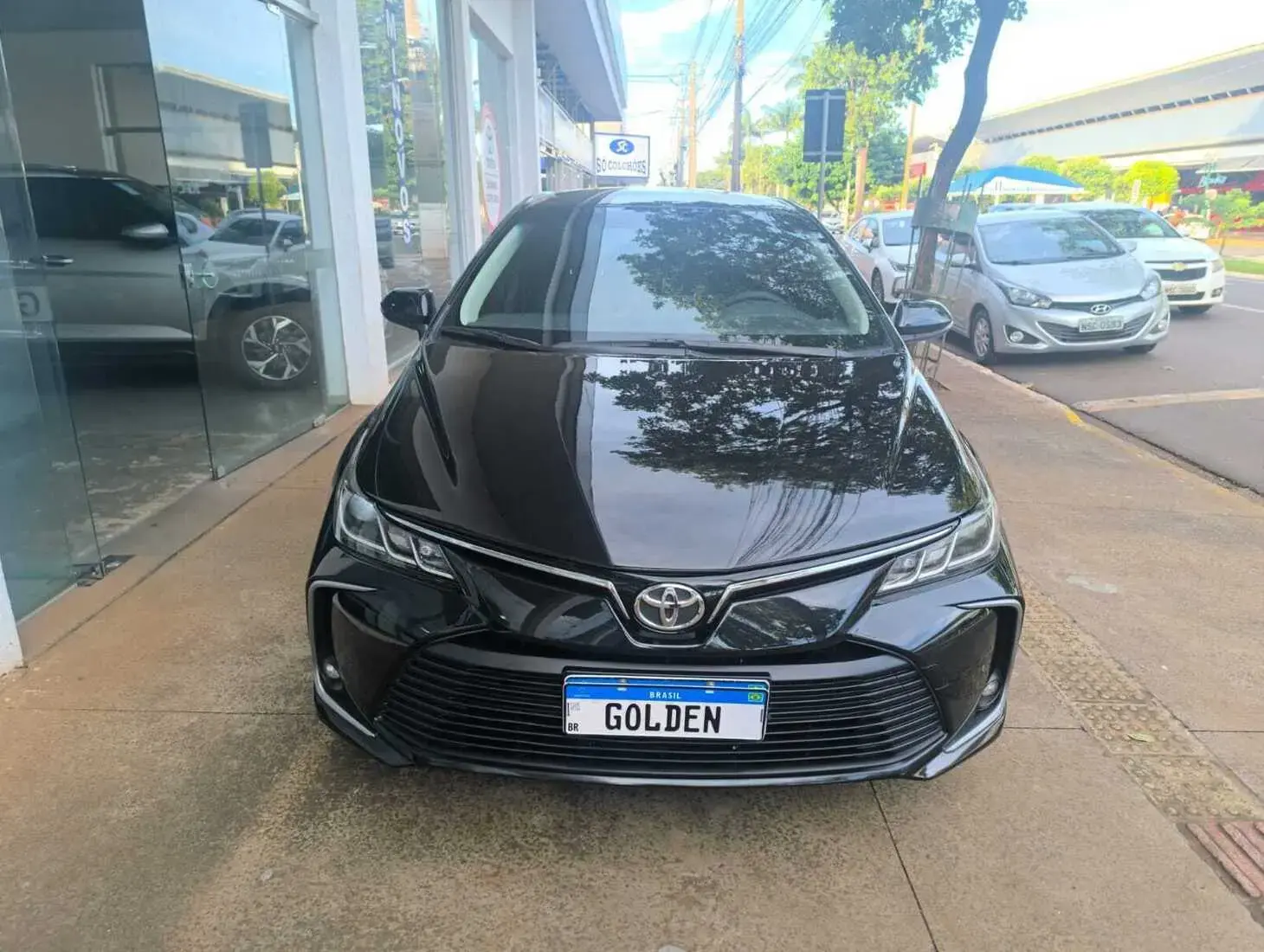 galeria COROLLA