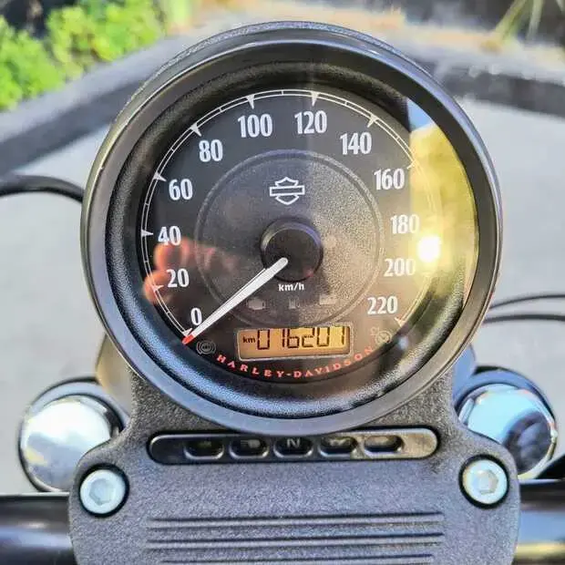 Harley Davidson Xl 883 N IRON