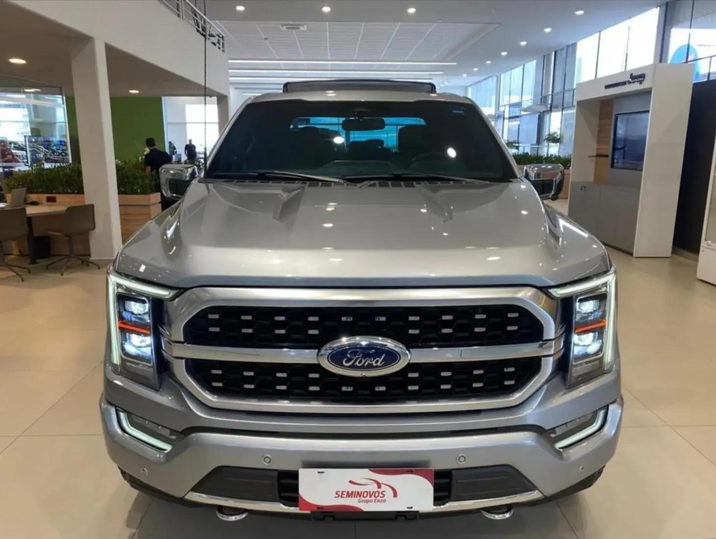 galeria F-150