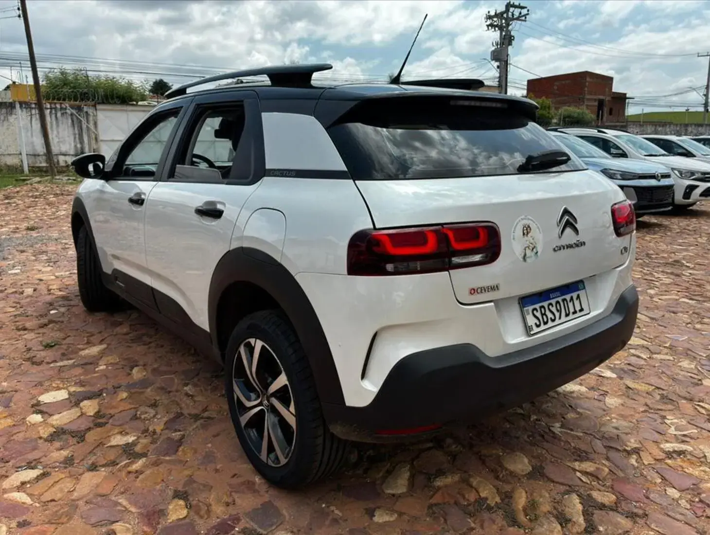 galeria C4 CACTUS