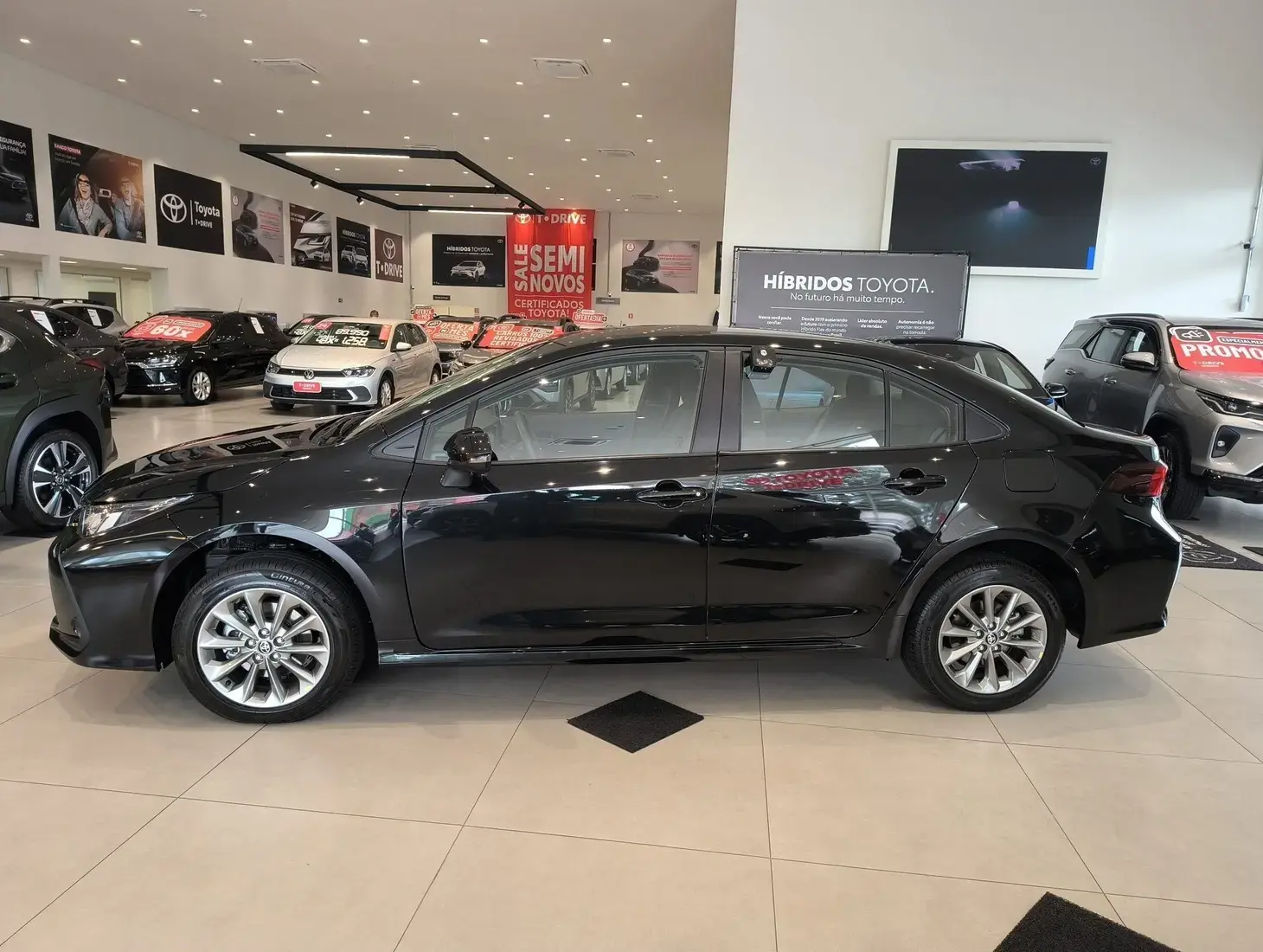 galeria Corolla