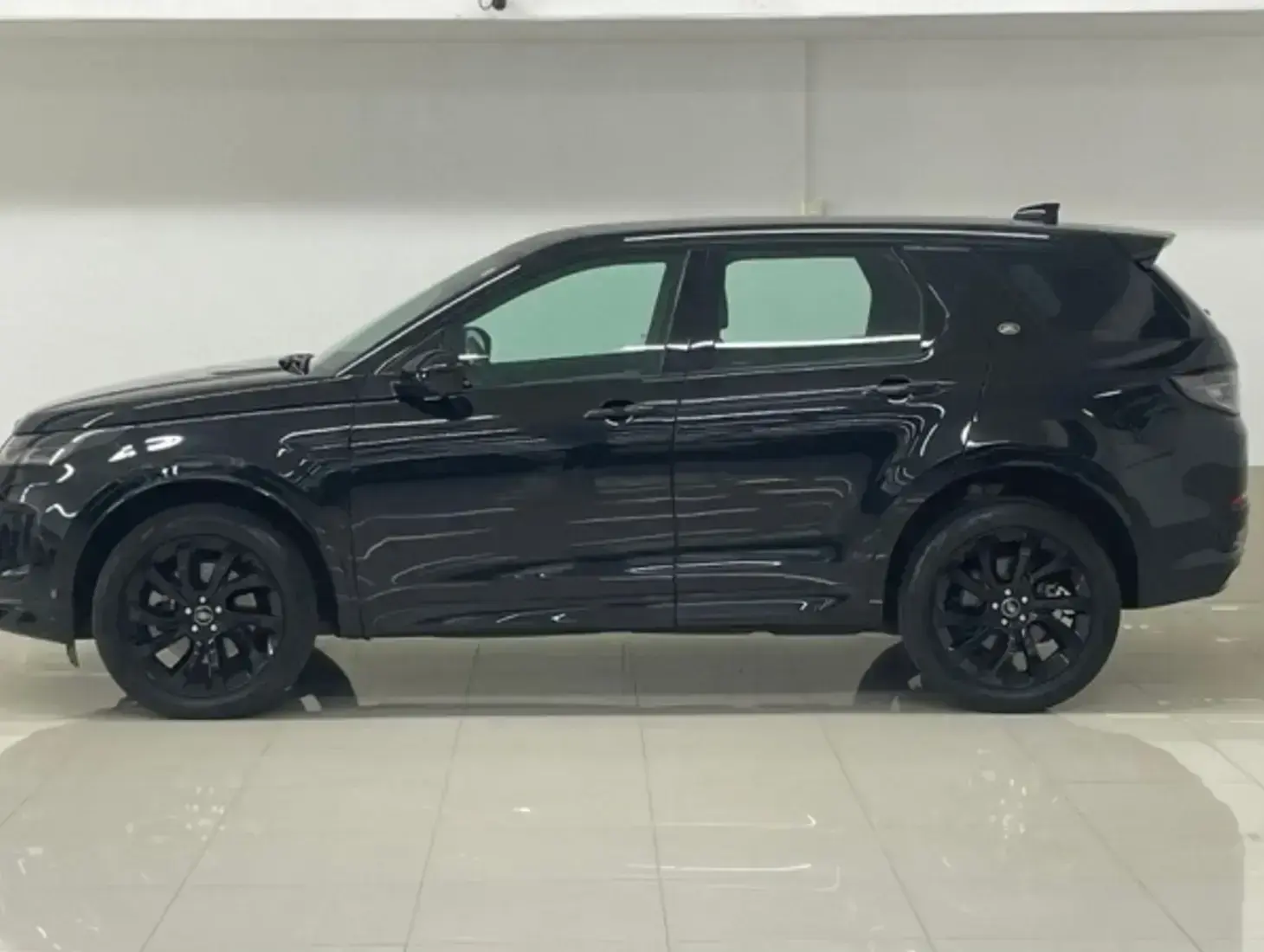 galeria Discovery Sport