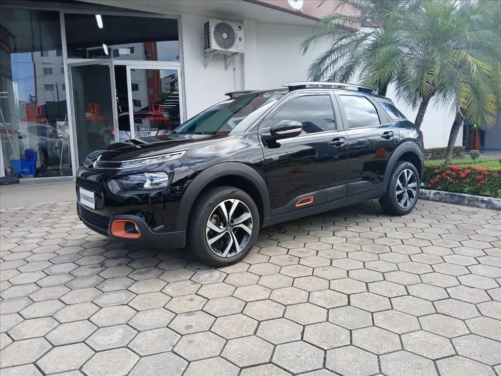 galeria C4 CACTUS