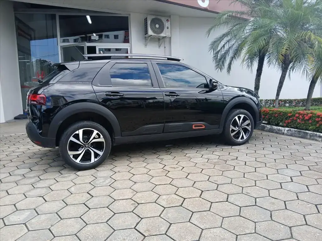 galeria C4 CACTUS