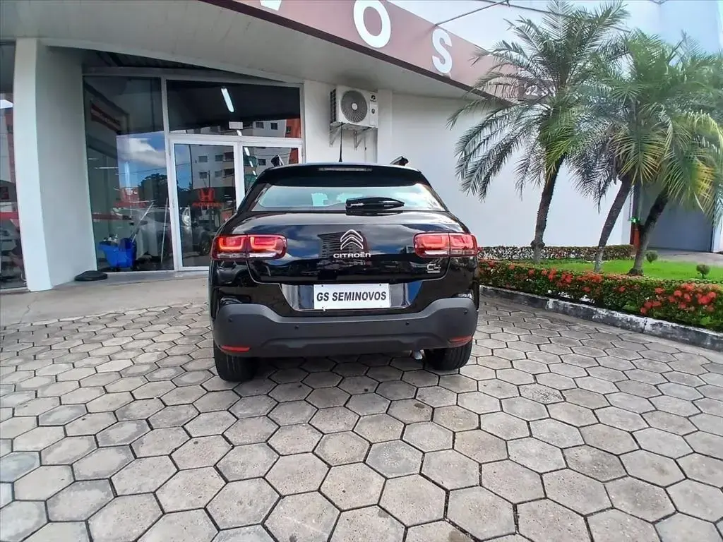 galeria C4 CACTUS