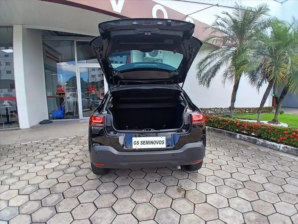 galeria C4 CACTUS