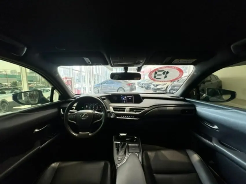 galeria UX 250h