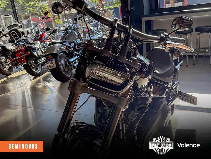 galeria FAT BOB
