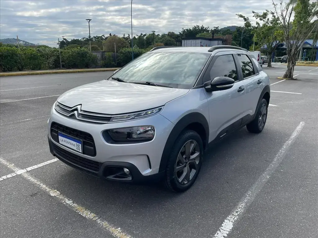 galeria C4 CACTUS