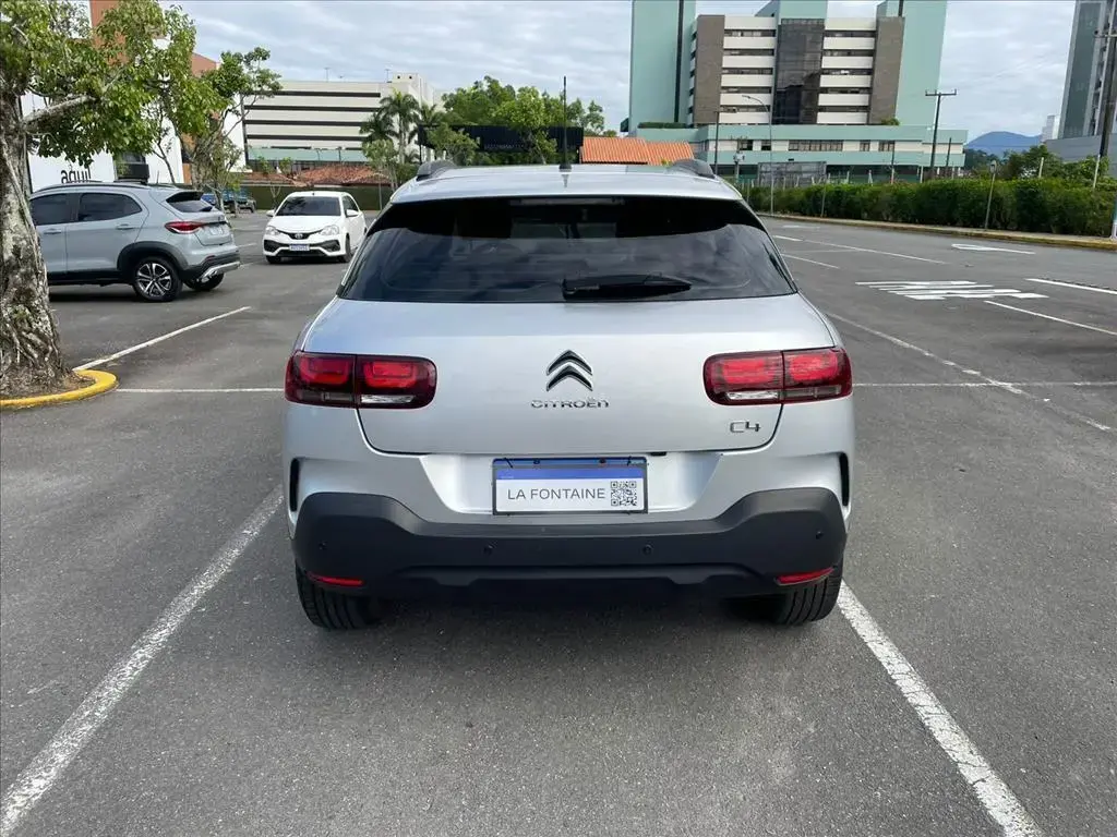 galeria C4 CACTUS