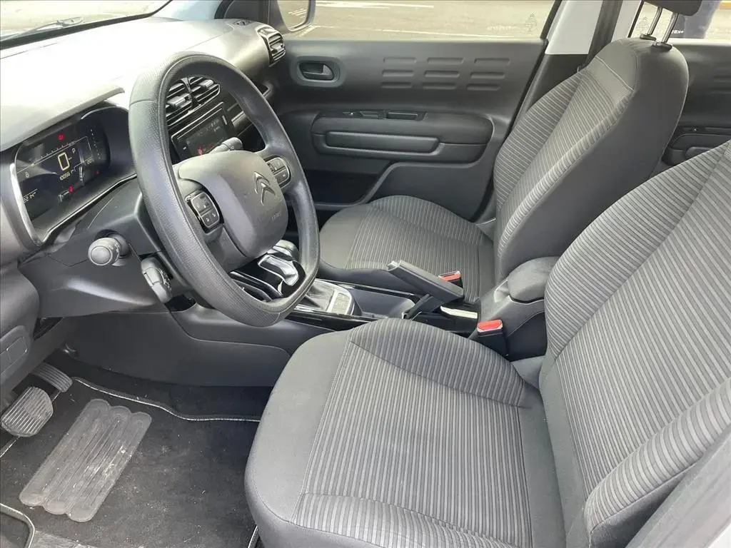 galeria C4 CACTUS