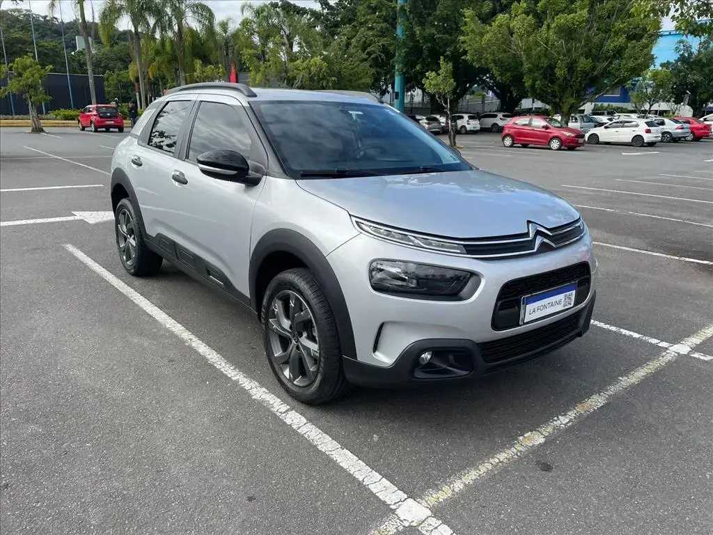 galeria C4 CACTUS