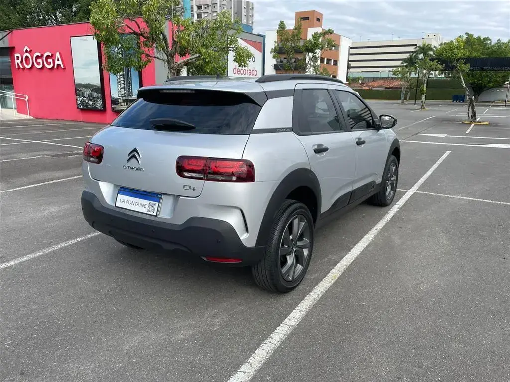 galeria C4 CACTUS