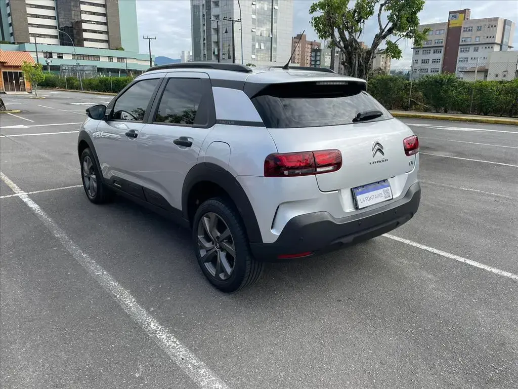 galeria C4 CACTUS