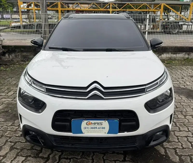 galeria C4 CACTUS