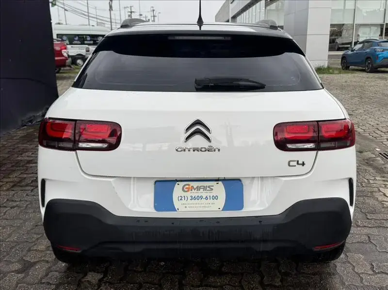 galeria C4 CACTUS