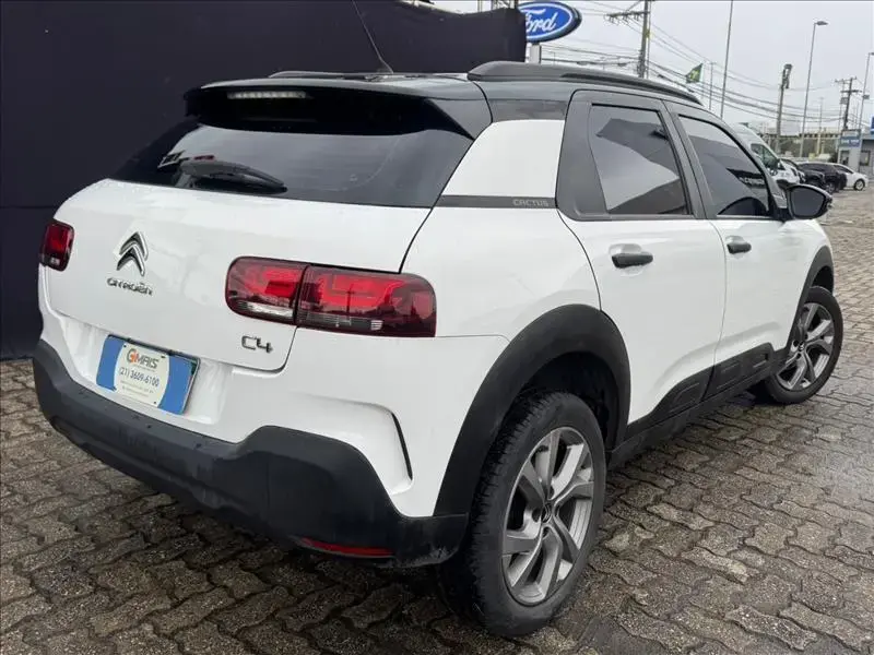 galeria C4 CACTUS