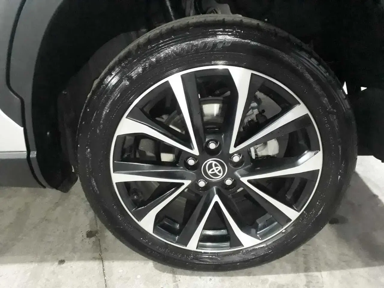galeria Corolla Cross