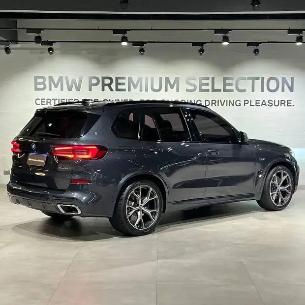 Bmw X5 xDrive45e M Sport 3.0 Híbrido (Aut)