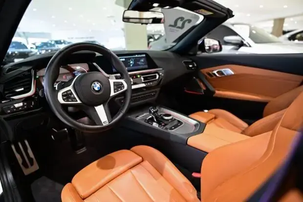 Bmw Z4 sDrive30i M Sport 2.0 (Aut)