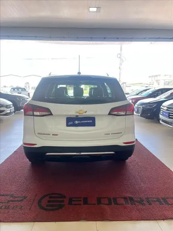 galeria EQUINOX