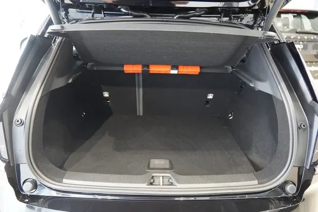 Volvo EX30 69 KW ELÉTRICO CROSS COUNTRY