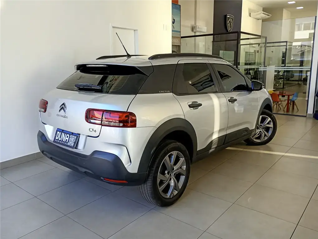 galeria C4 CACTUS