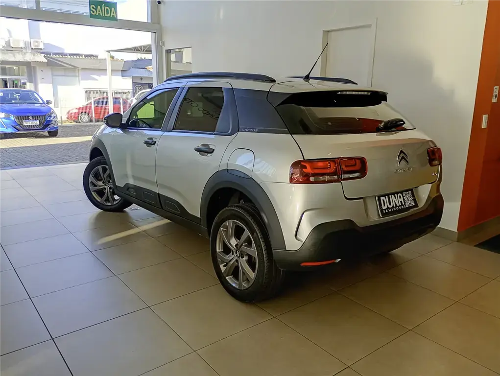 galeria C4 CACTUS