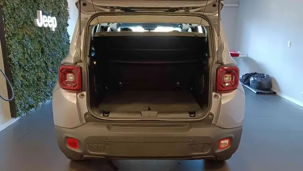 Jeep RENEGADE 1.8 16V FLEX 4P AUTOMÁTICO