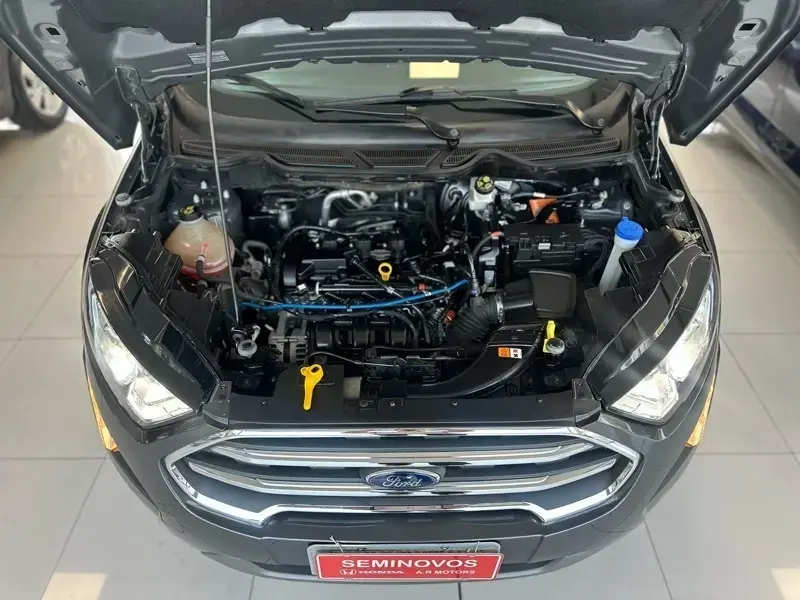galeria EcoSport