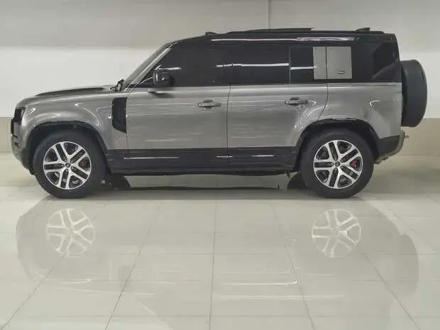 Land Rover Defender 110 X 3.0 Turbodiesel (Aut.) (Híb.)
