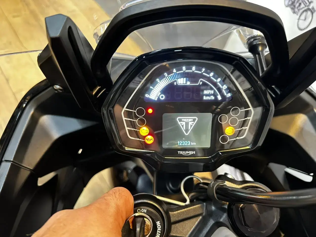 galeria TIGER