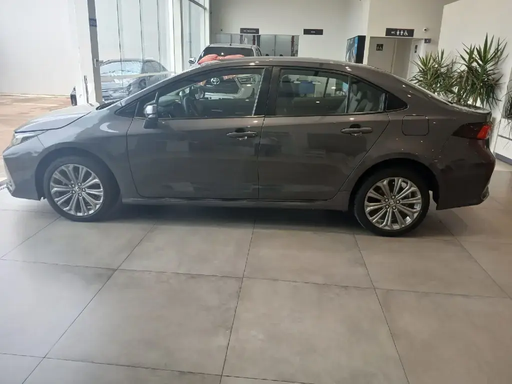 galeria COROLLA