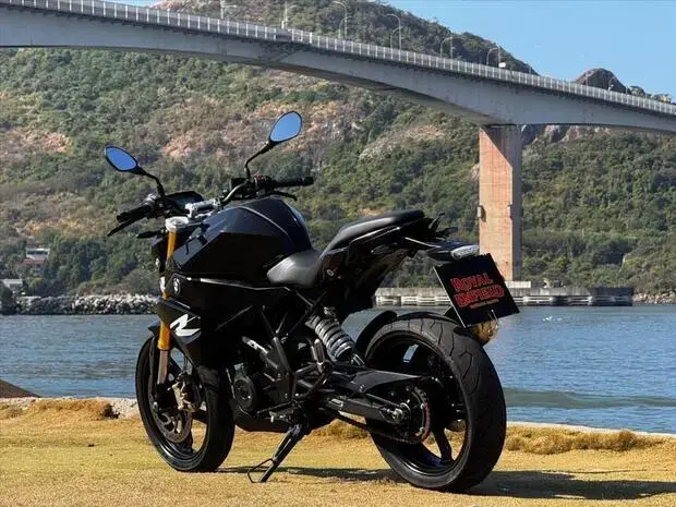 Bmw G 310 R