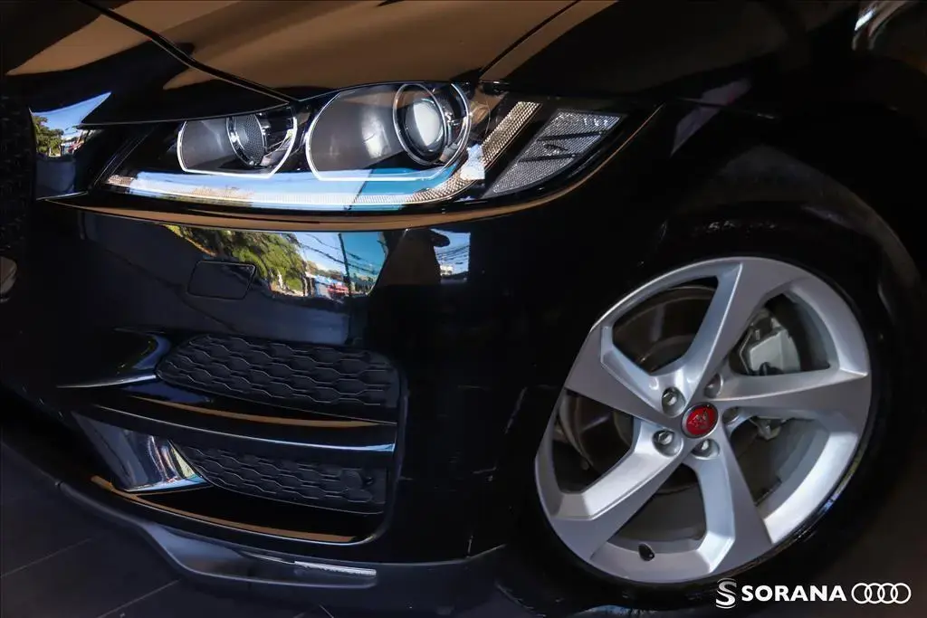 galeria F-PACE