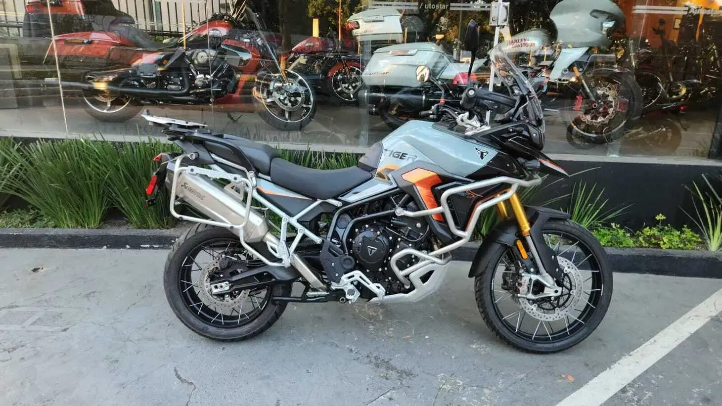 galeria Tiger 900