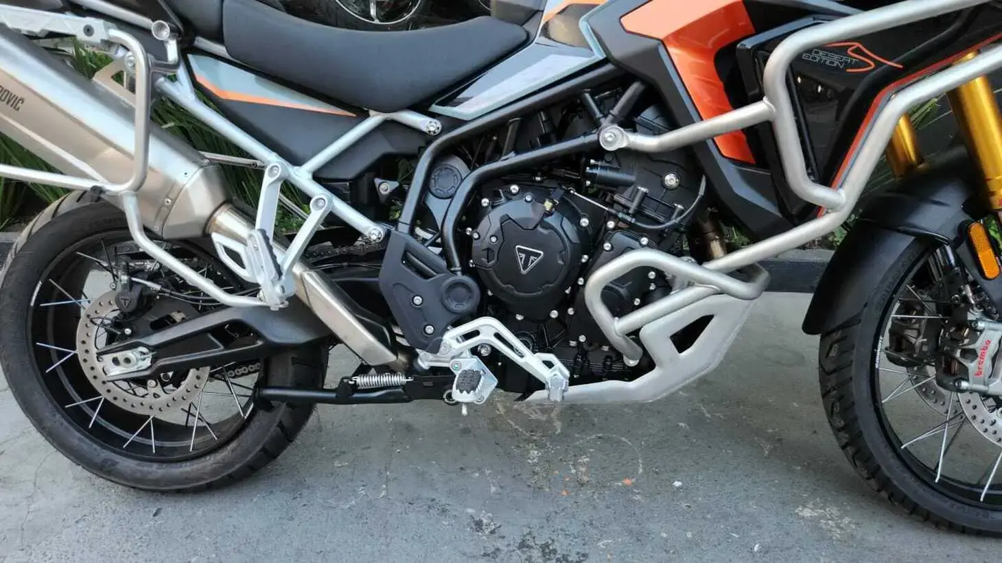galeria Tiger 900