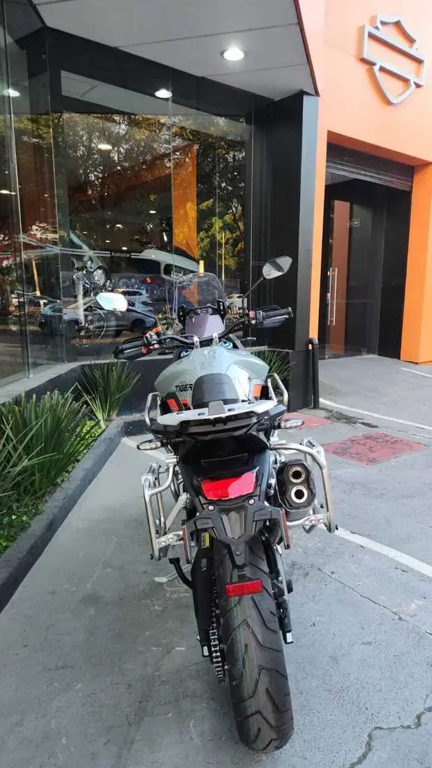 galeria Tiger 900