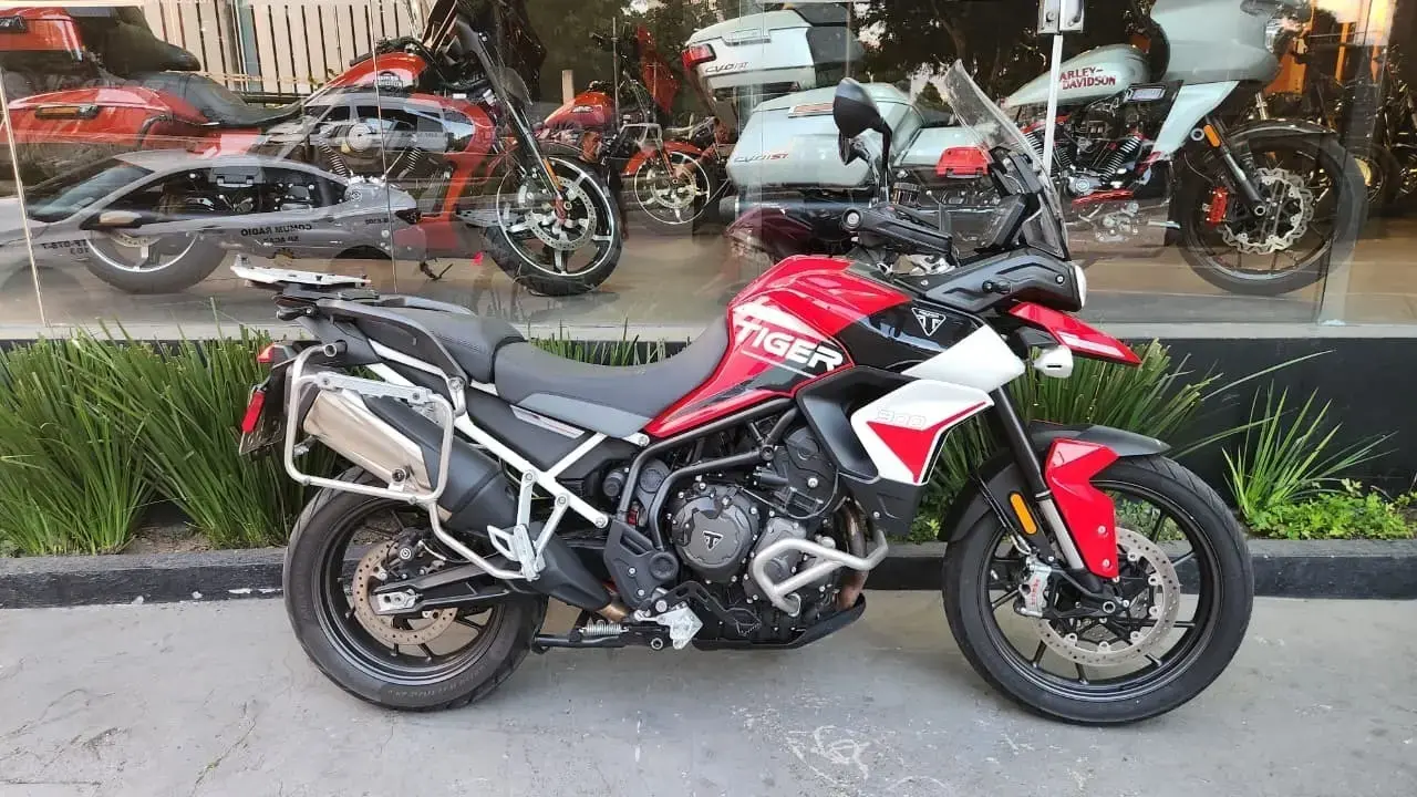 galeria Tiger 900