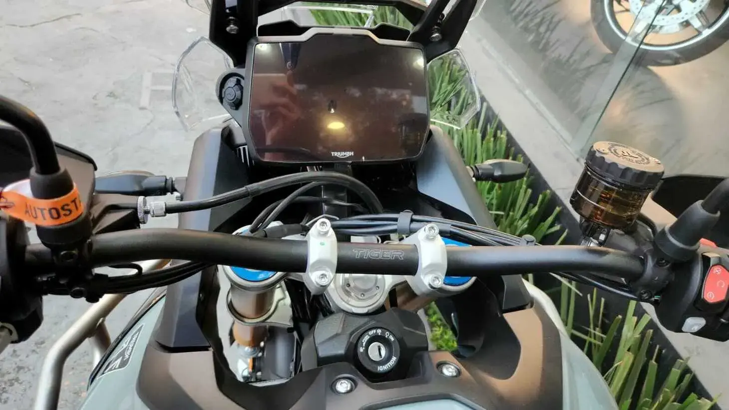 galeria Tiger 900