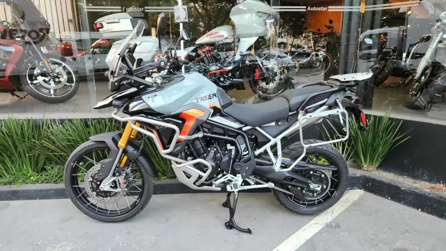 galeria Tiger 900