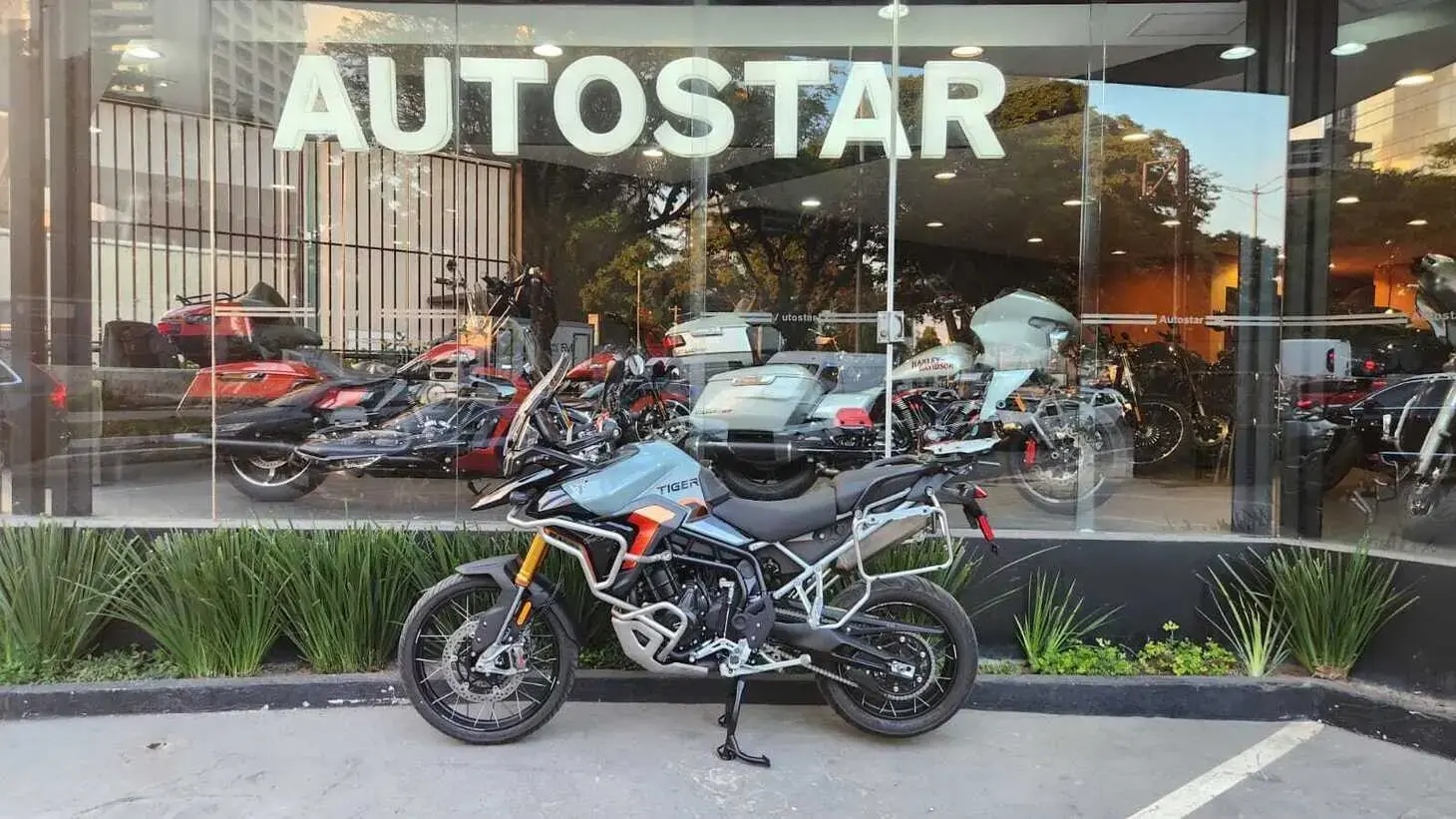 galeria Tiger 900